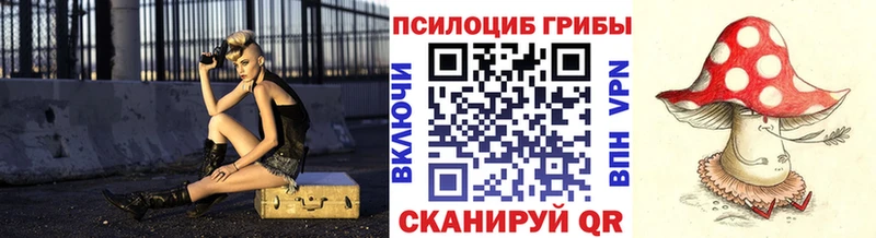 Псилоцибиновые грибы Cubensis Горячий Ключ